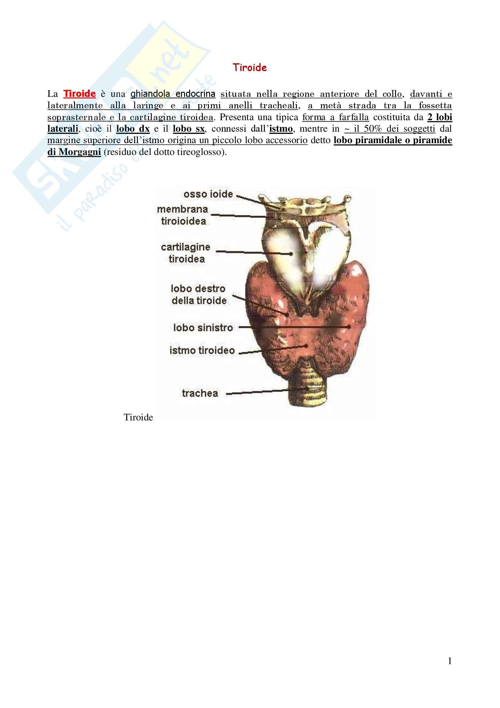 Endrocrinologia - tiroide e paratiroidi Pag. 1