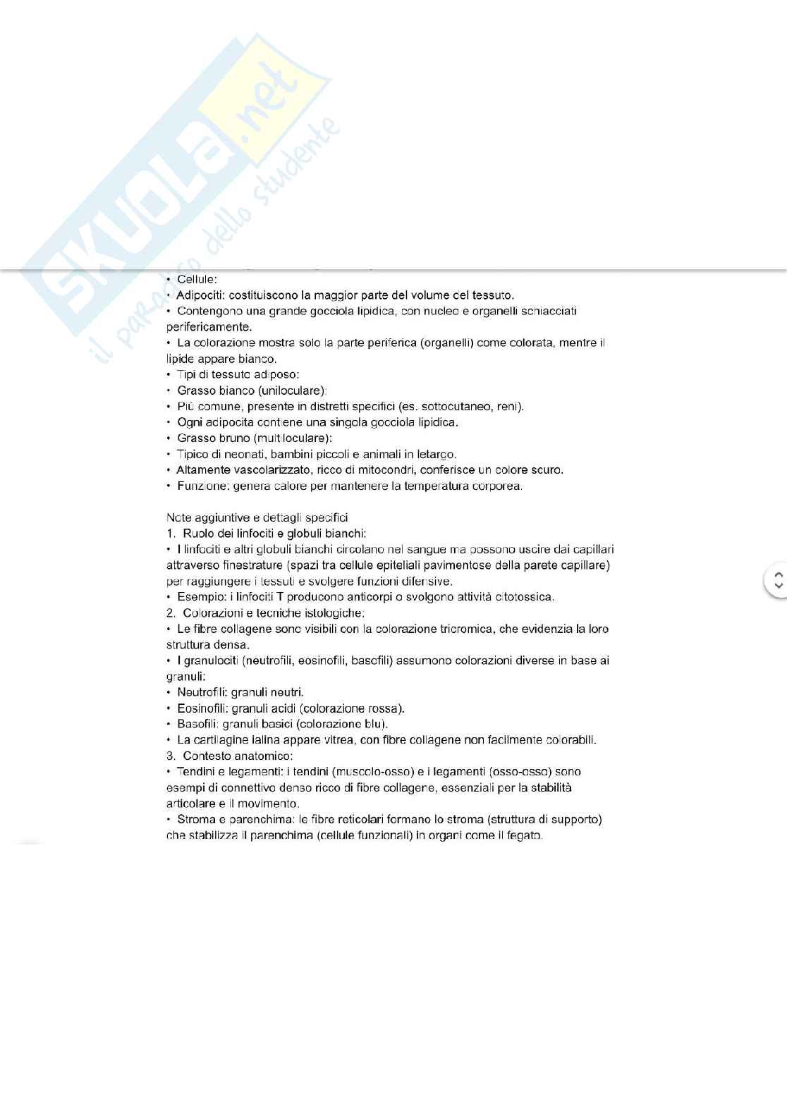 Tessuto connettivo Pag. 11