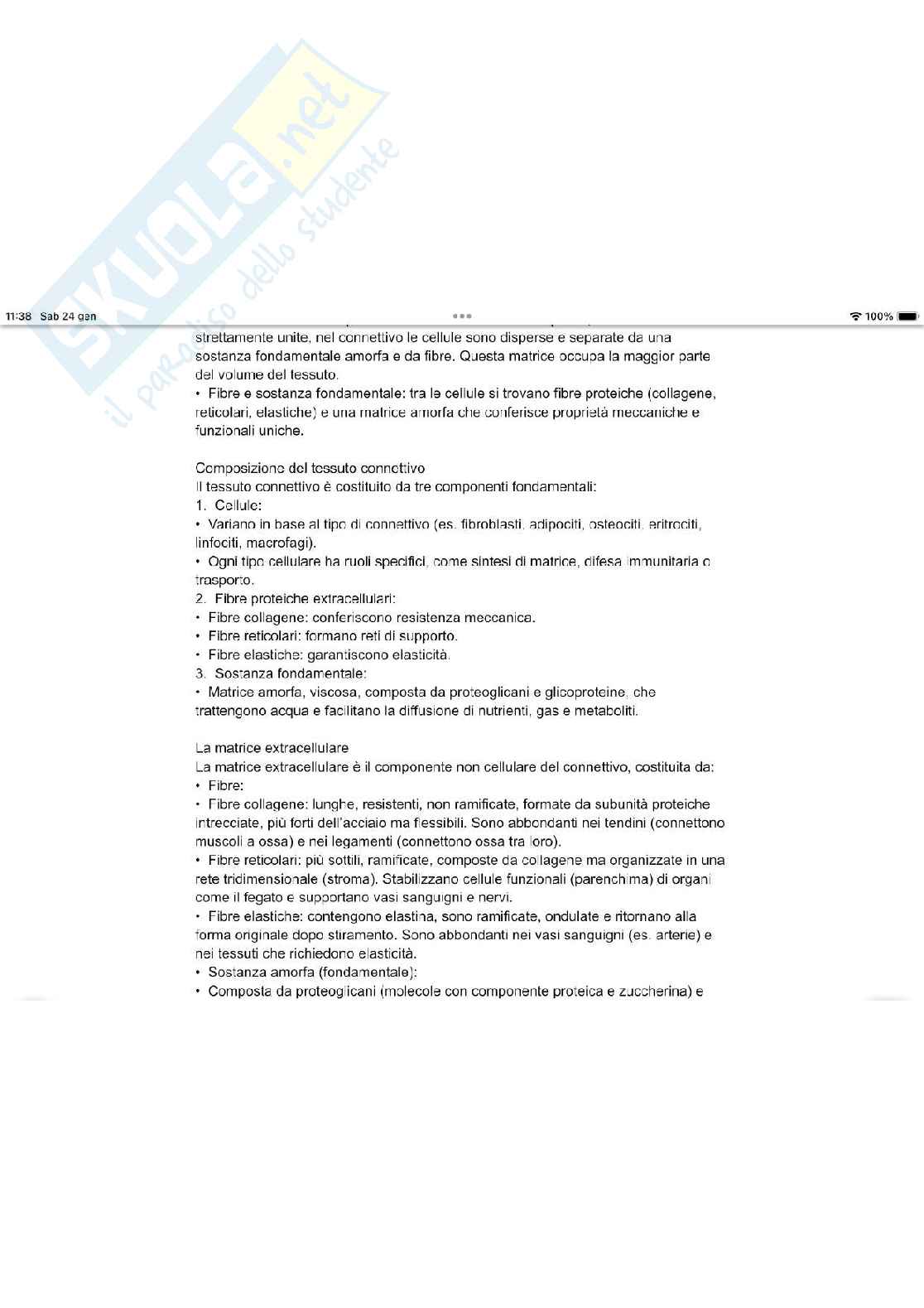 Tessuto connettivo Pag. 2