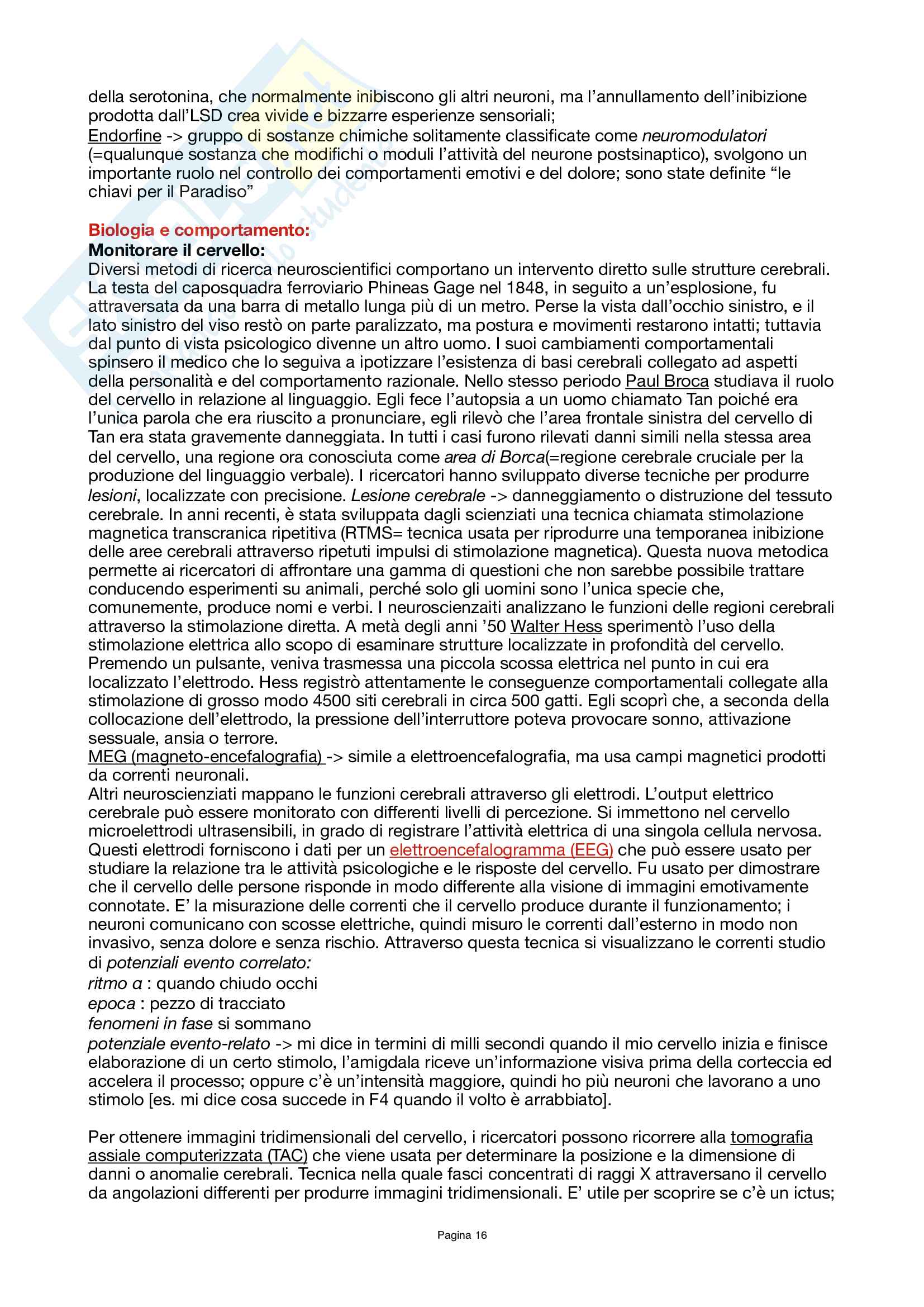 Appunti personali per l’esame di Fondamenti di Psicologia generale, professore Lucchiari Pag. 16