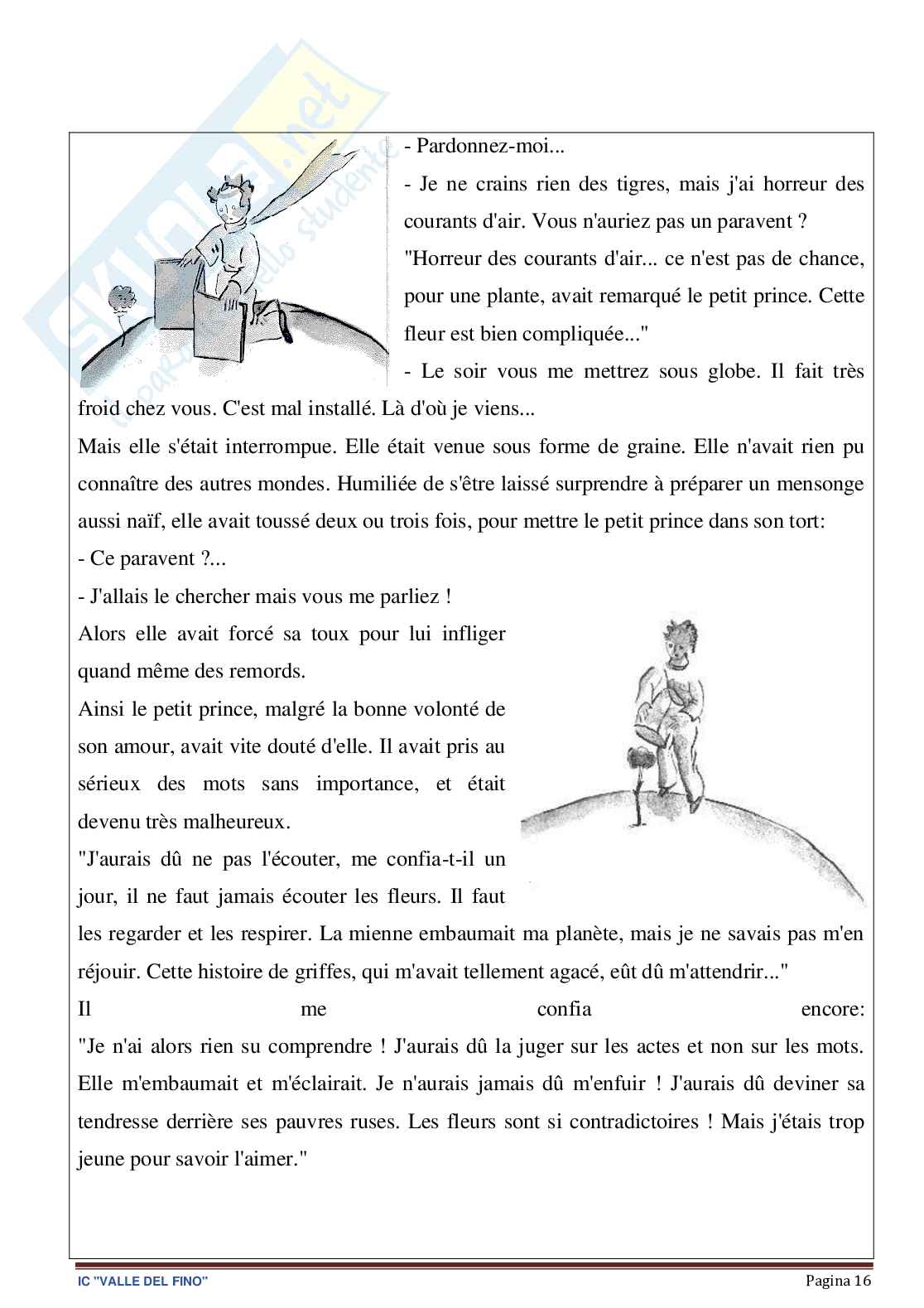 Esempio UDA aa 25 aa 22 francese lezione simulata per la scuola secondaria di primo grado e concorsi pubblici dal titolo Piccolo principe Pag. 16