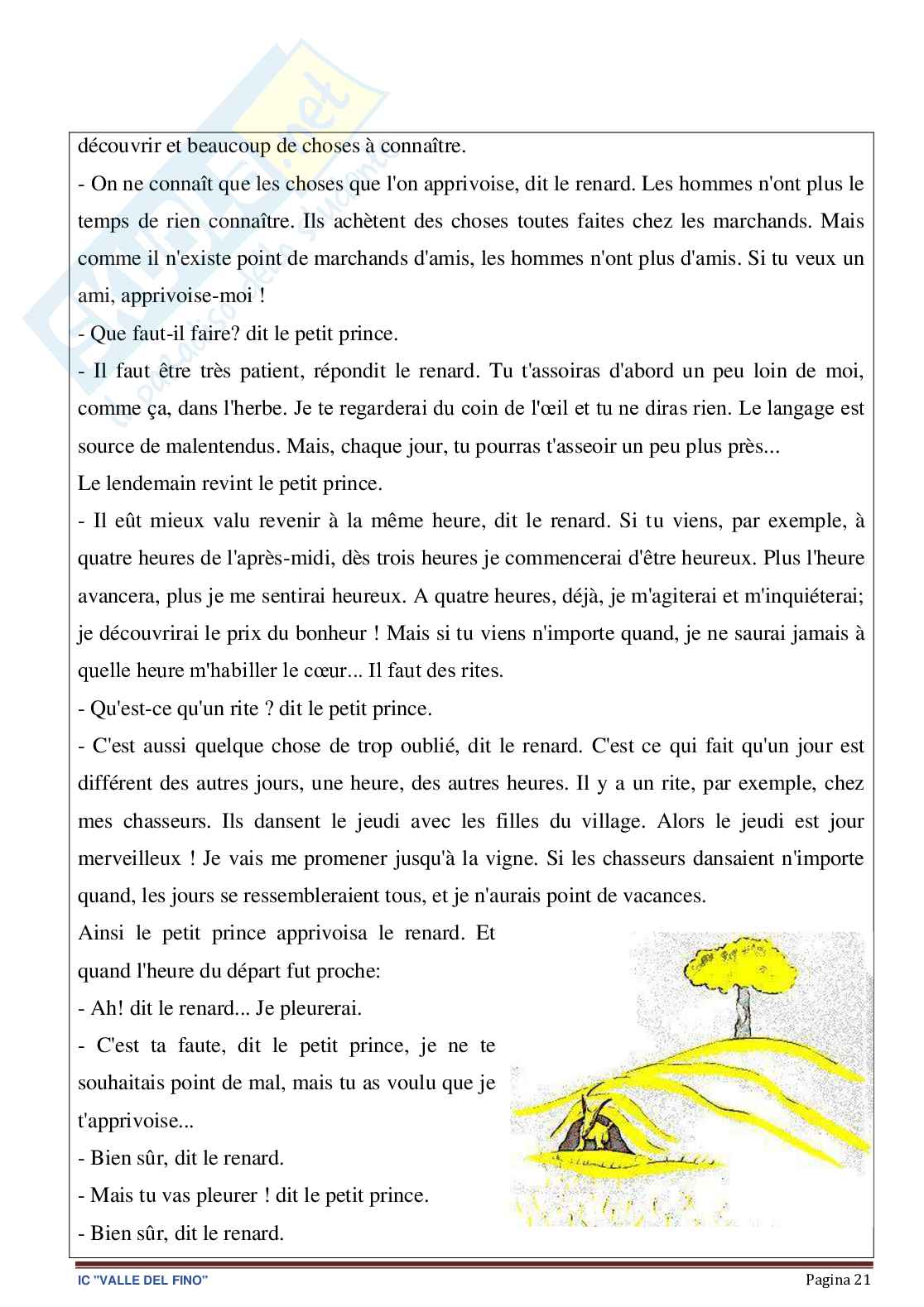 Esempio UDA aa 25 aa 22 francese lezione simulata per la scuola secondaria di primo grado e concorsi pubblici dal titolo Piccolo principe Pag. 21