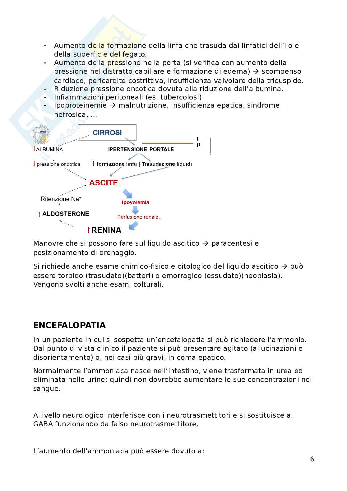 Medicina interna 2 - infermieristica clinica in area medica  Pag. 6