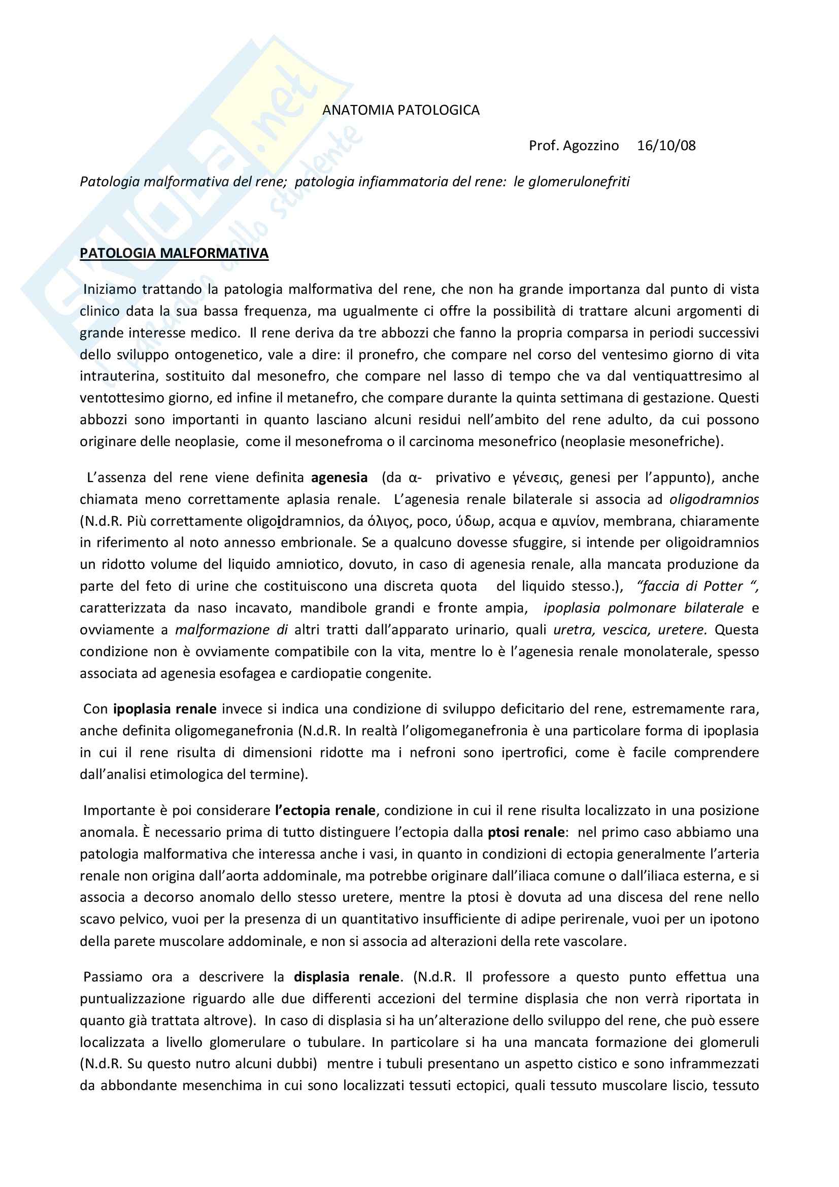 Anatomia patologica - patologia malformativa del rene Pag. 1