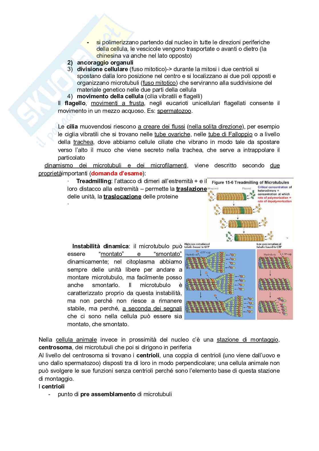 Appunti Biologia generale Pag. 2
