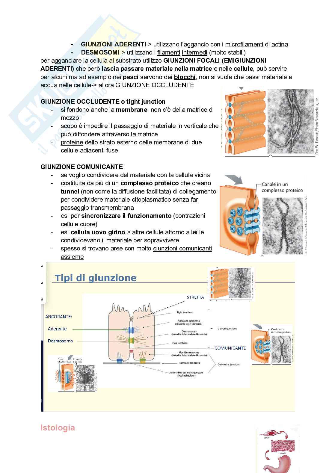 Appunti Biologia generale Pag. 6