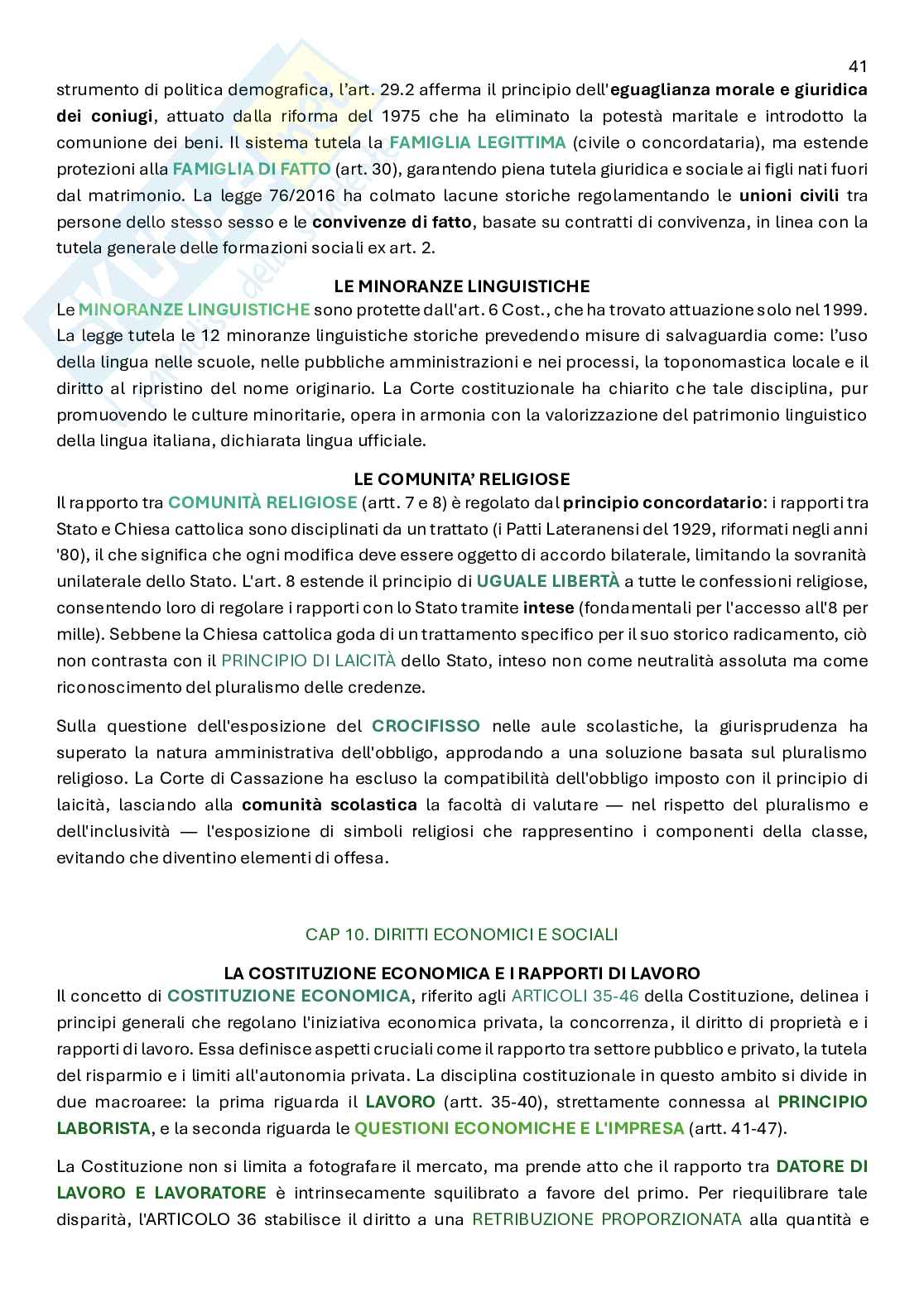 Diritto costituzionale  Pag. 41