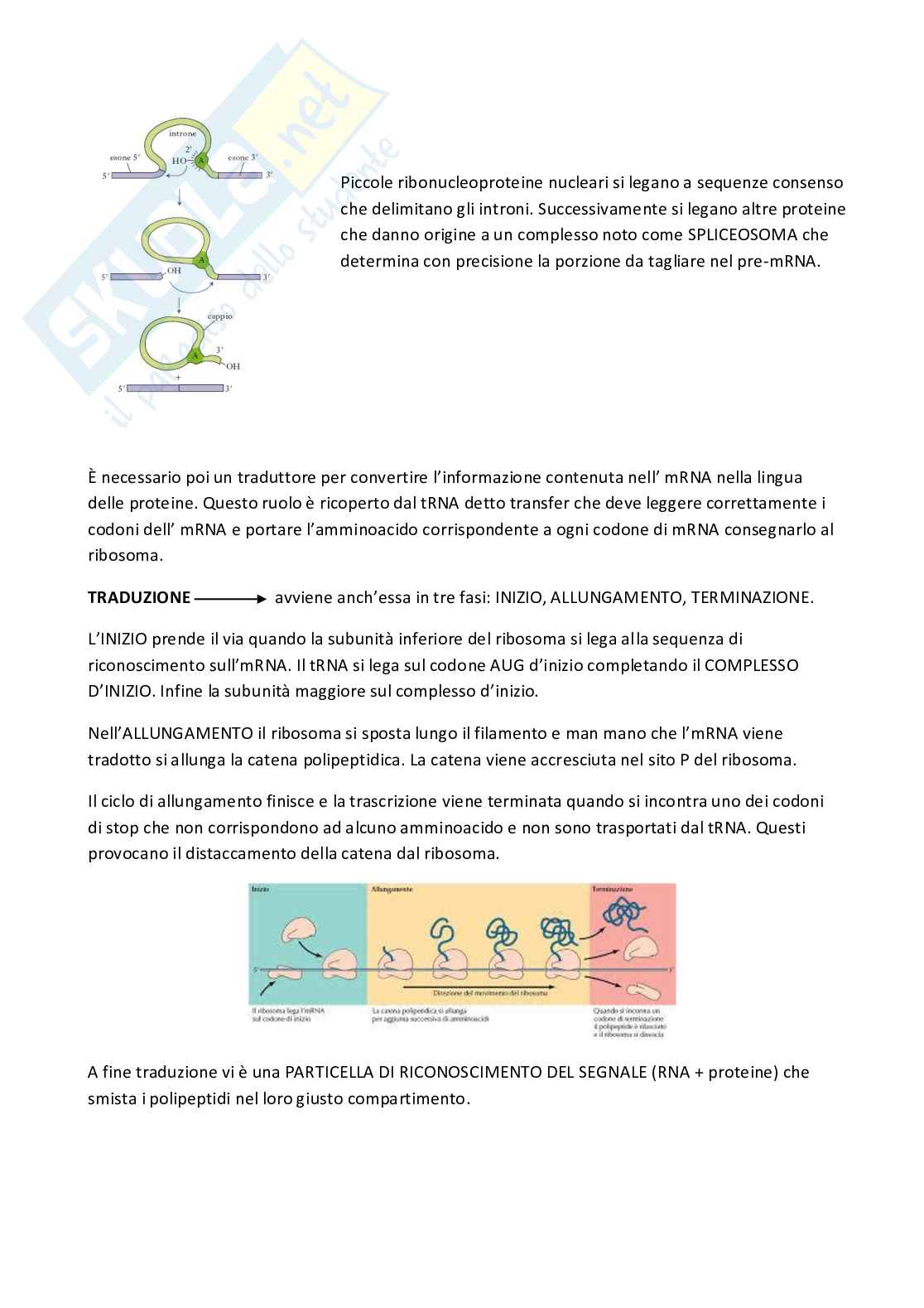 Biologia Pag. 46