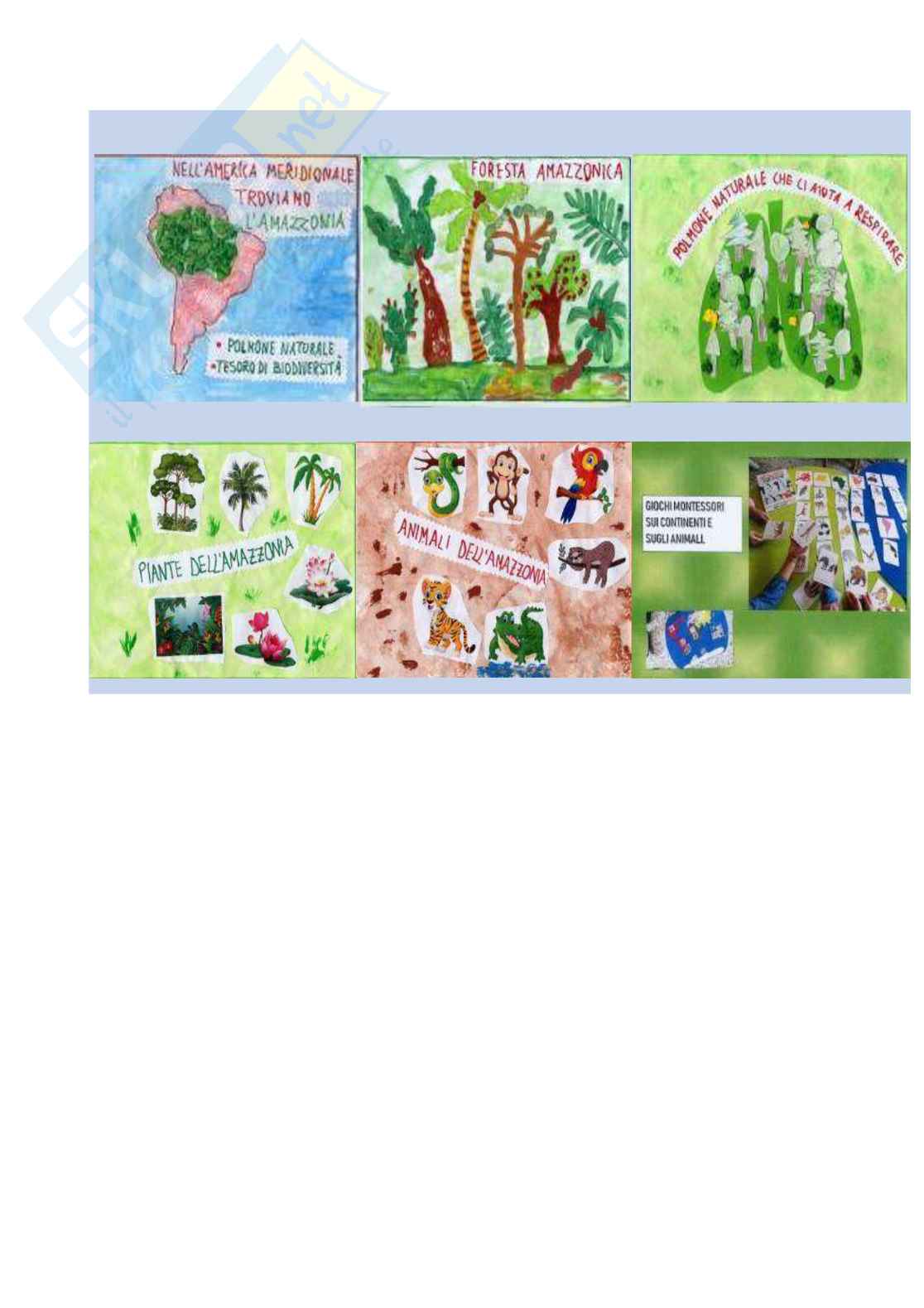 Esempio Uda lezione simulata per la scuola dell'infanzia o primaria e concorsi pubblicdal titolo alla scoperta del nuovo continente Pag. 21