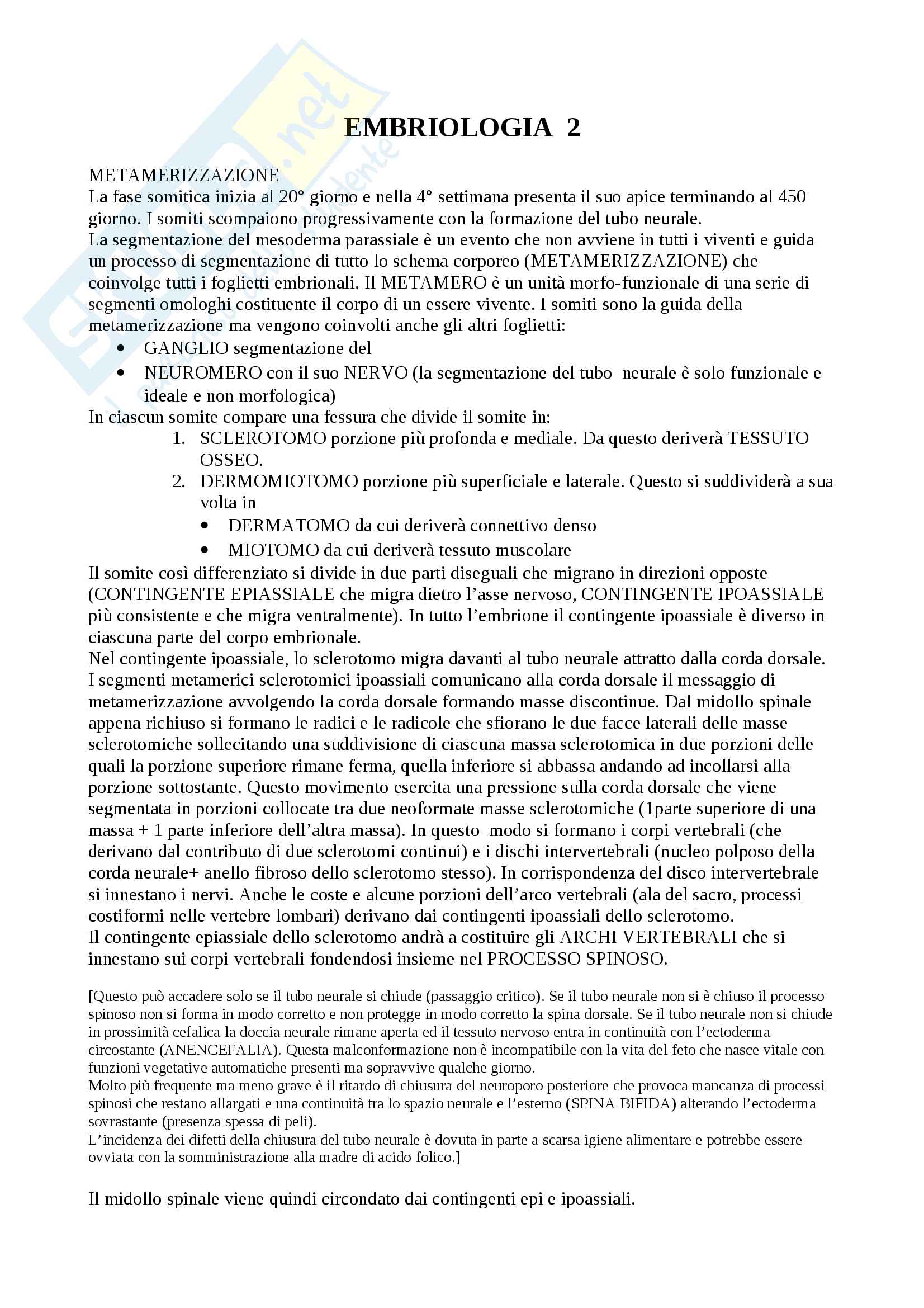 Appunti di embriologia Pag. 1