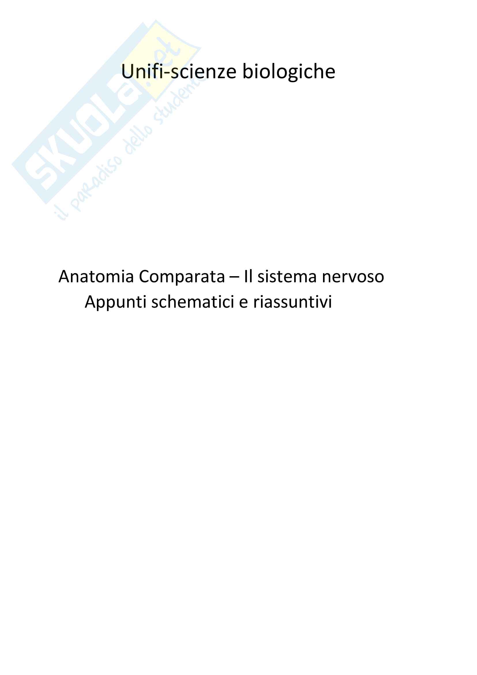Schemi Anatomia comparata-Sistema nervos Pag. 1