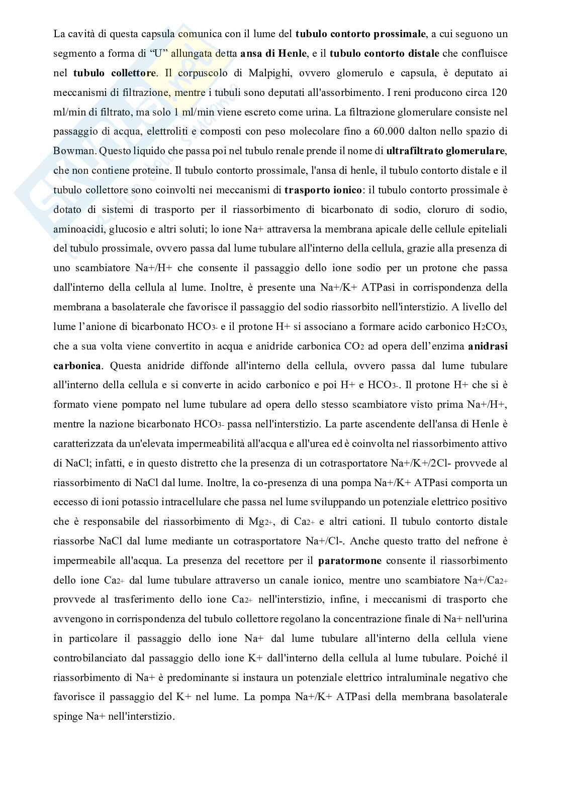 Farmacoterapia I Pag. 21