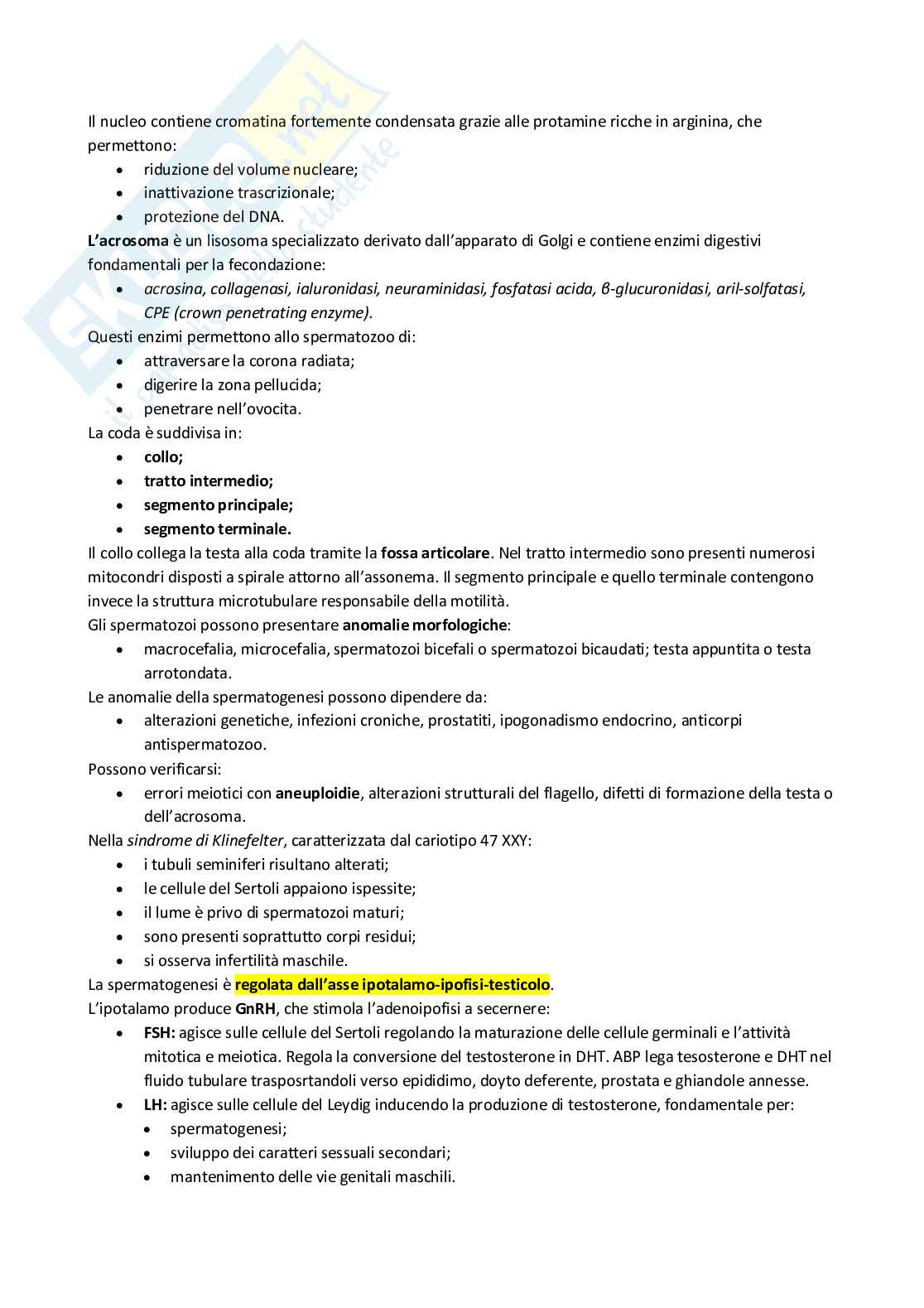Appunti 4 settimane Anatomia con elementi di istologia Pag. 11