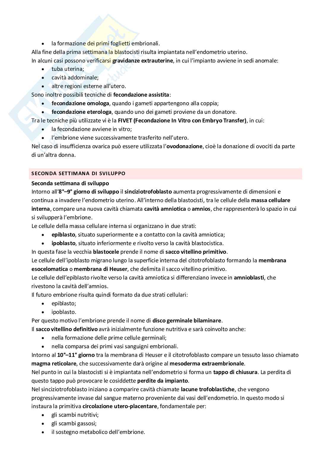 Appunti 4 settimane Anatomia con elementi di istologia Pag. 21