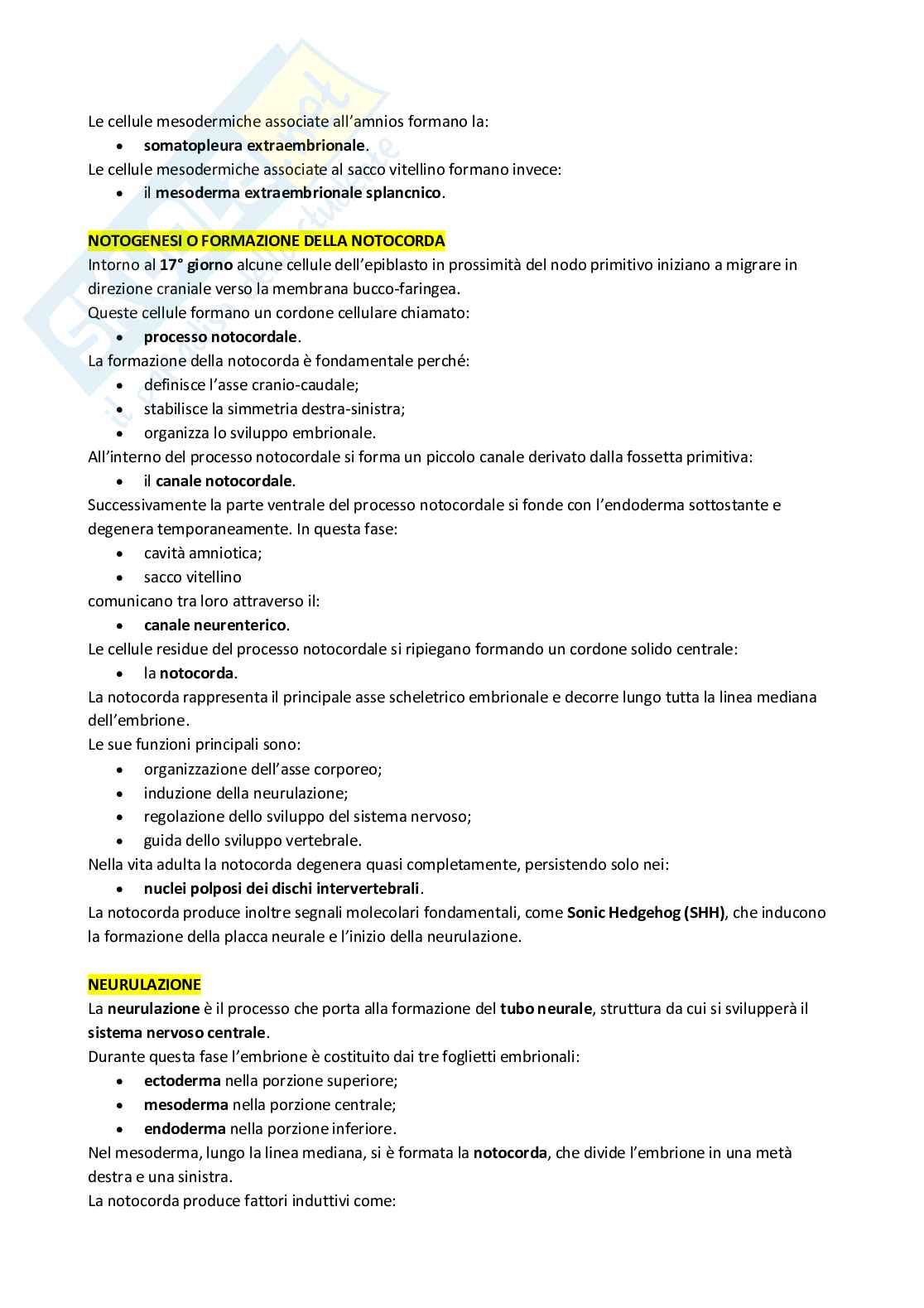 Appunti 4 settimane Anatomia con elementi di istologia Pag. 26