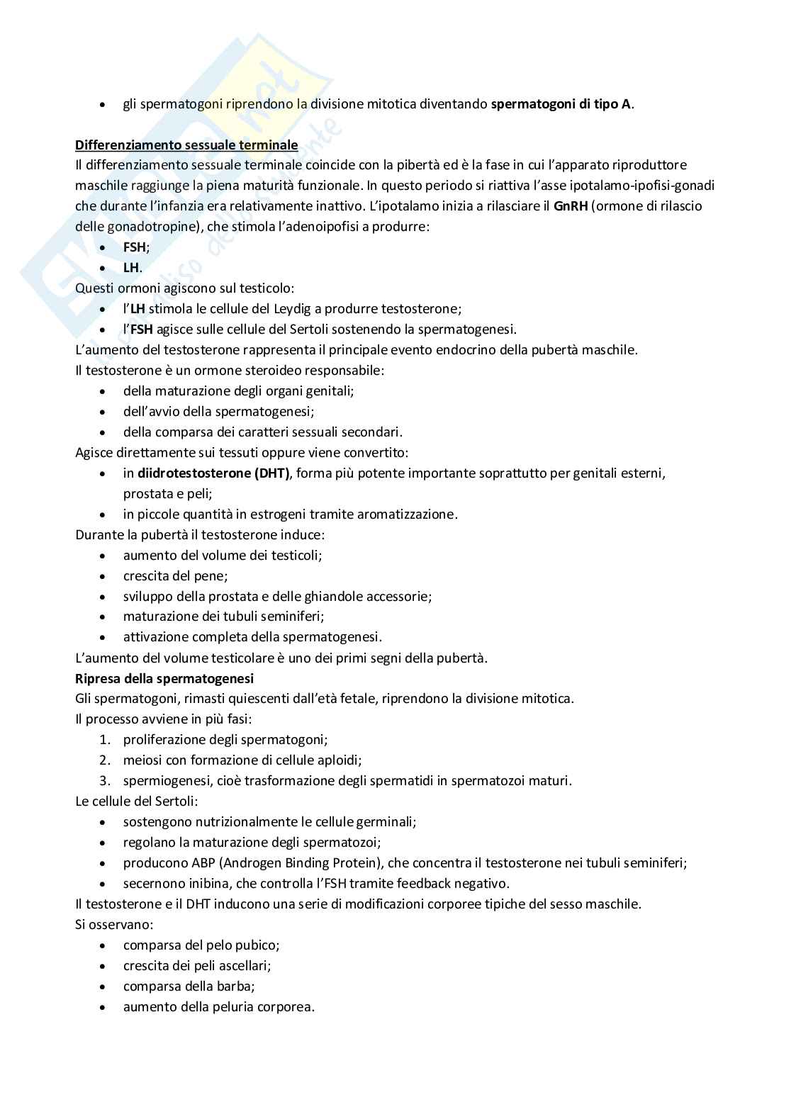Appunti 4 settimane Anatomia con elementi di istologia Pag. 6