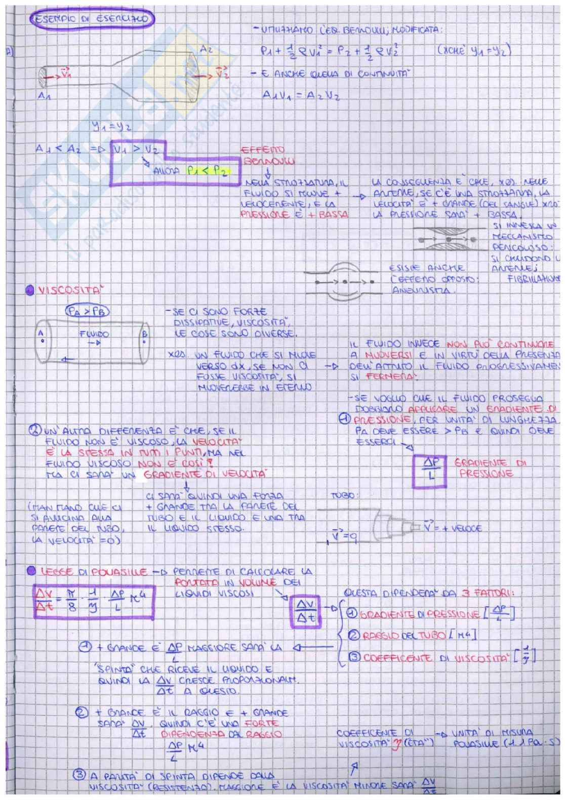 Fisica Pag. 41