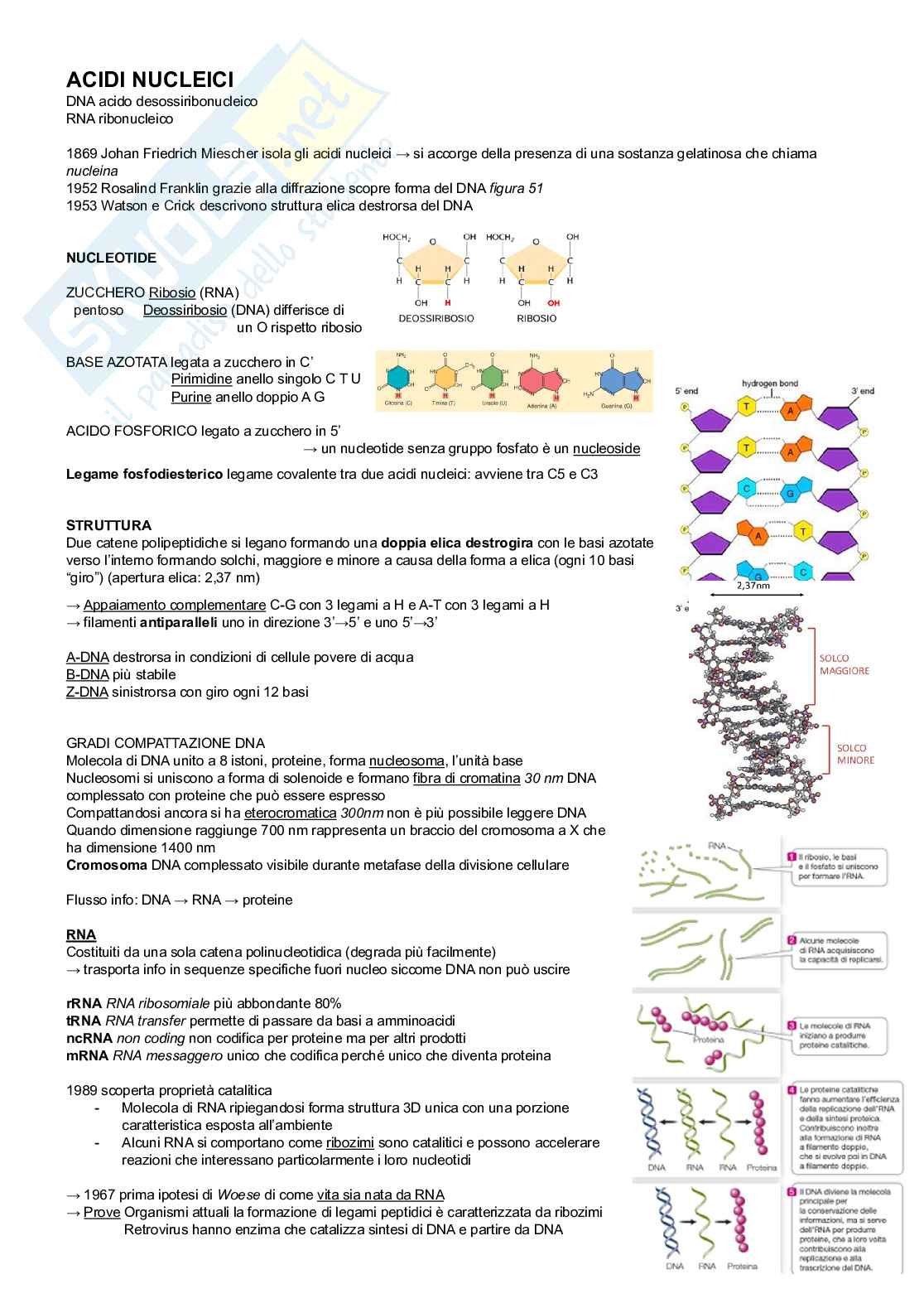 Biologia applicata  Pag. 1