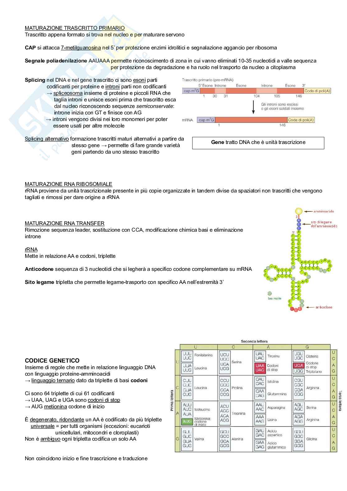 Biologia applicata  Pag. 11
