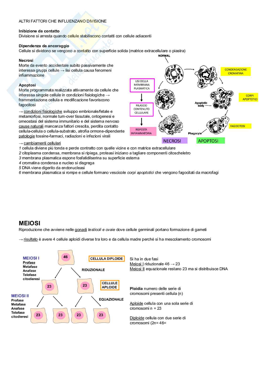 Biologia applicata  Pag. 16