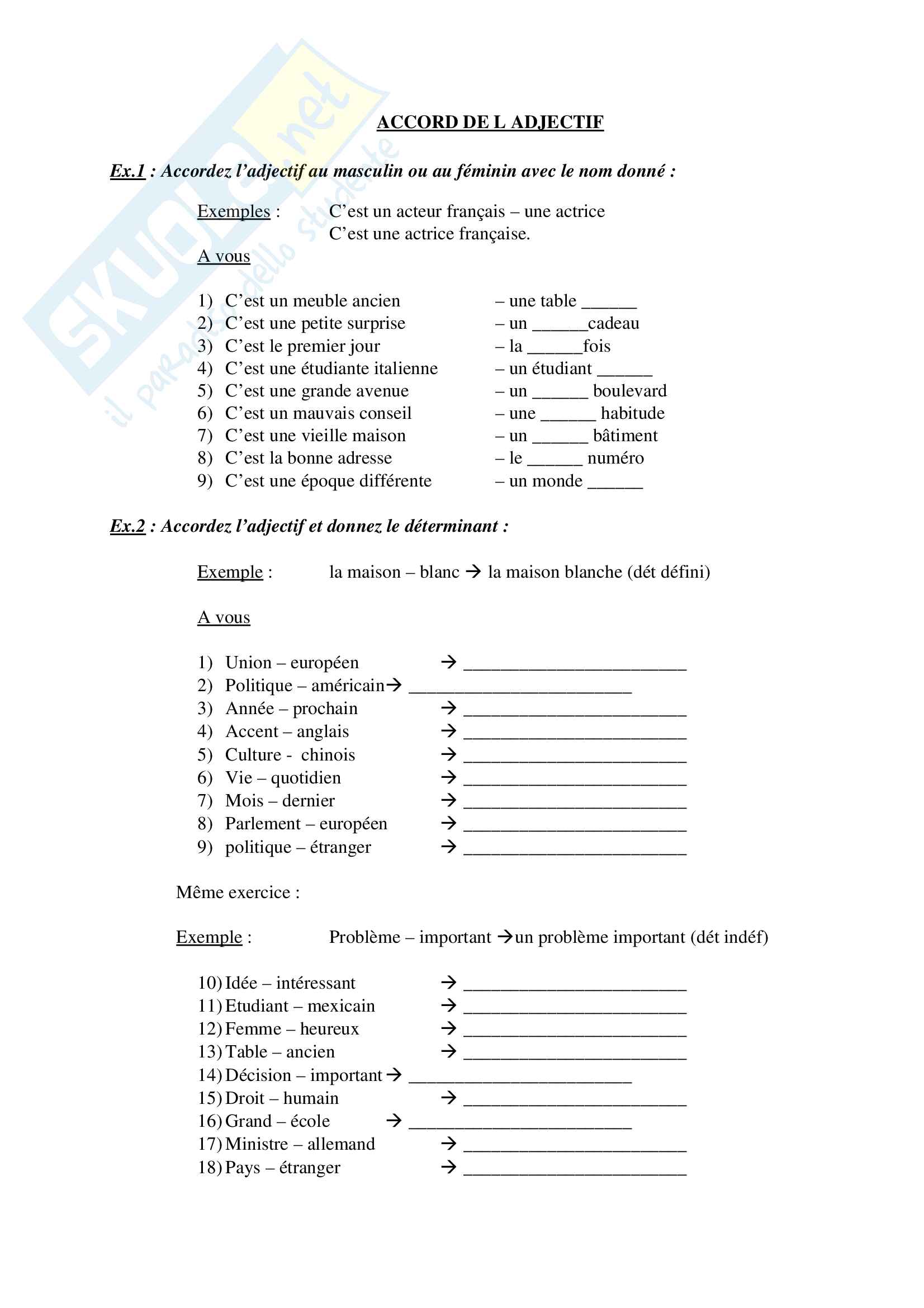 Francese: esercizi di grammatica: accordo dell'aggettivo Pag. 1