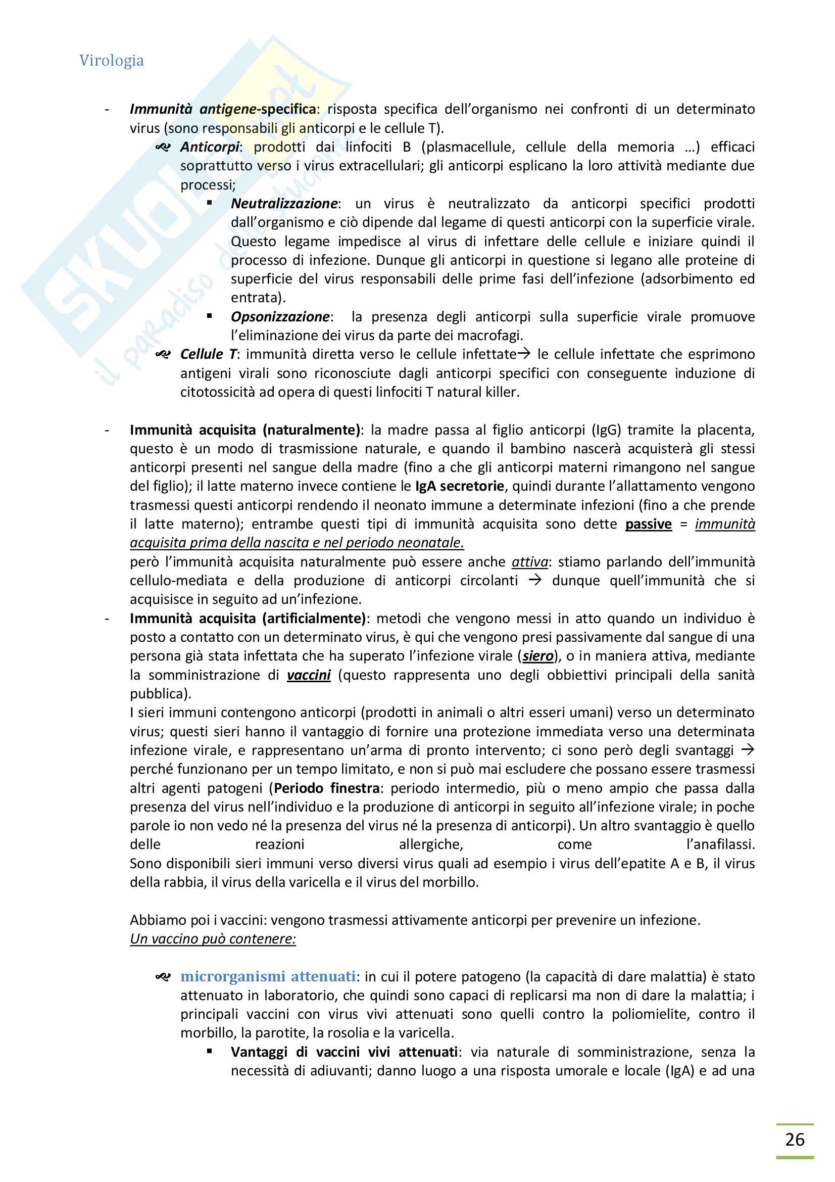 Riassunto esame virologia Pag. 26