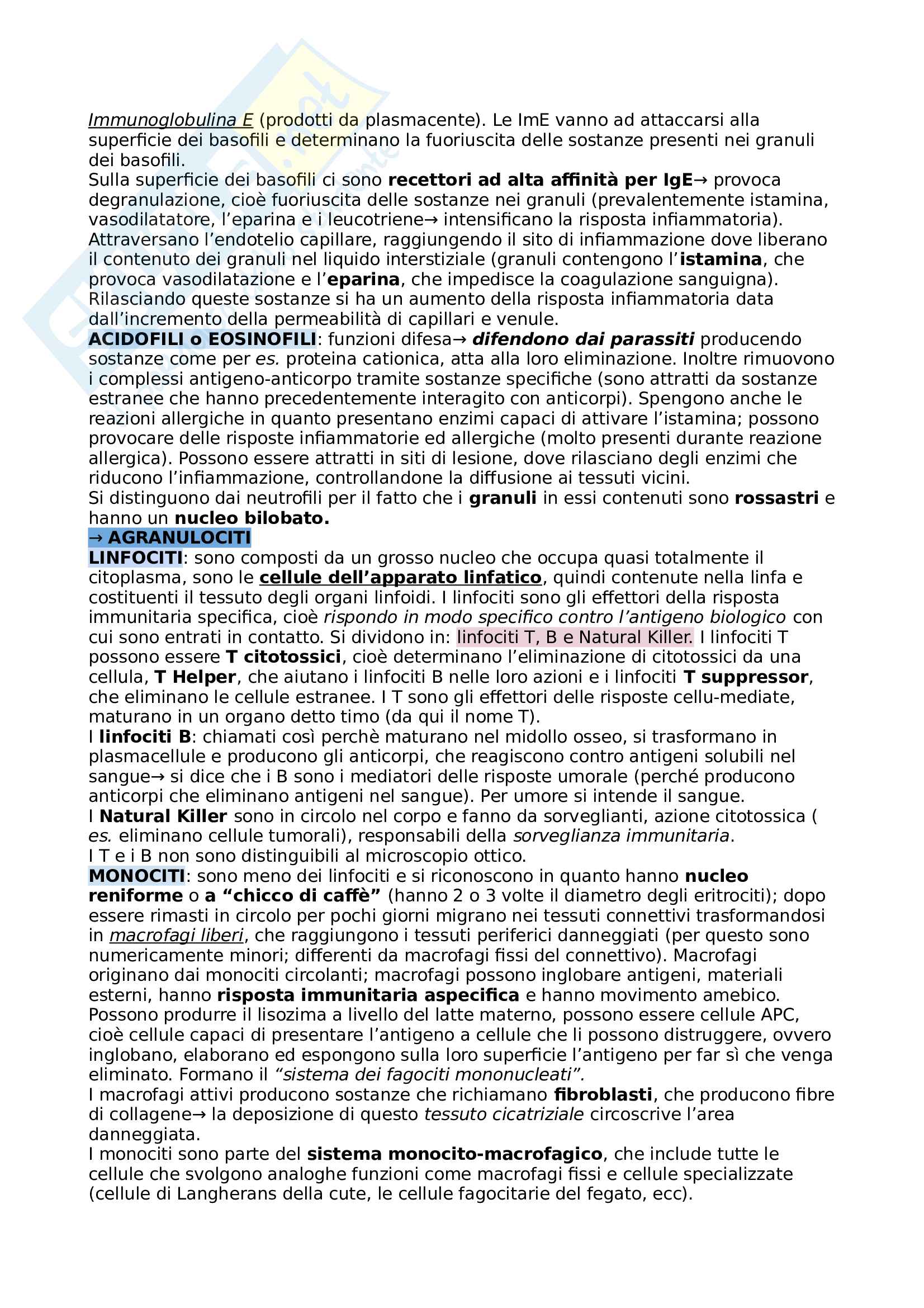 Anatomia Umana Pag. 16