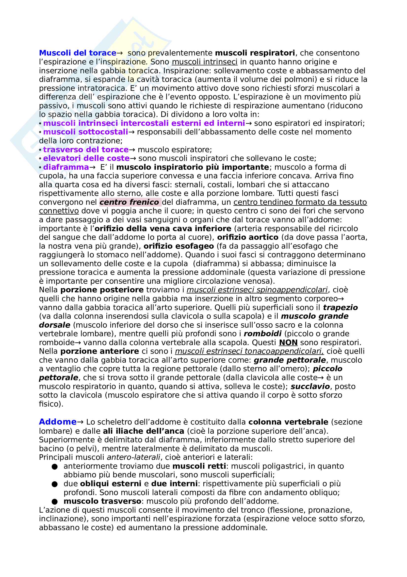 Anatomia Umana Pag. 41