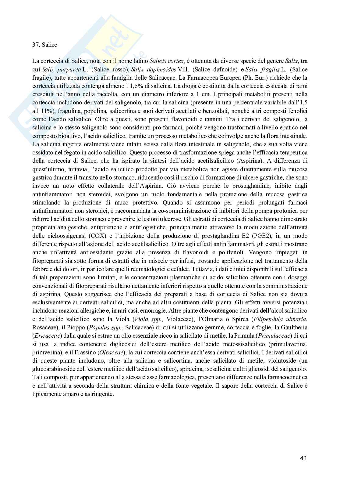 Farmacognosia e Fitoterapia Pag. 41