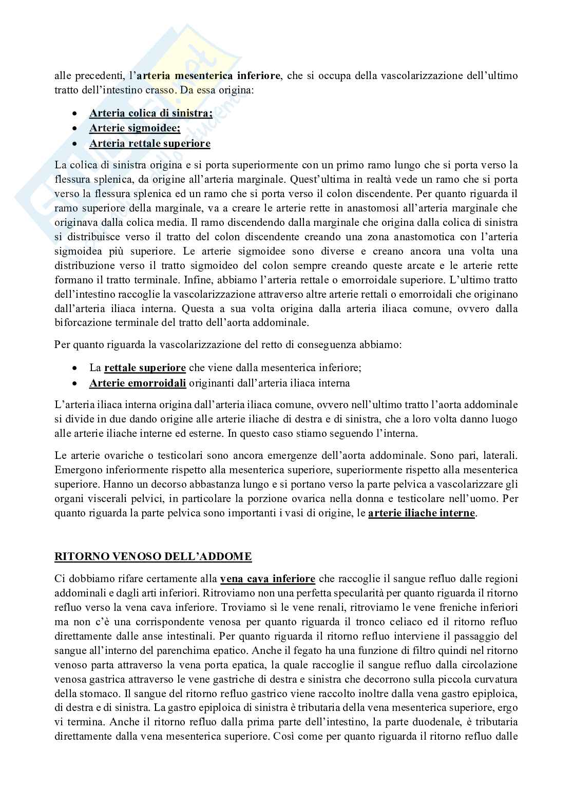 Cuore Pag. 11