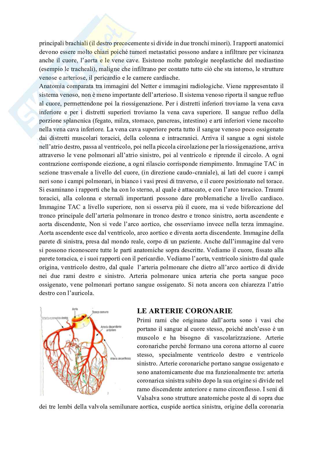 Cuore Pag. 16