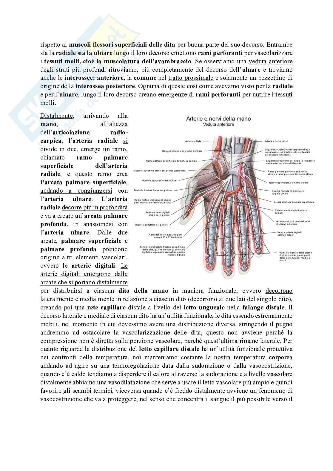 Cuore Pag. 31
