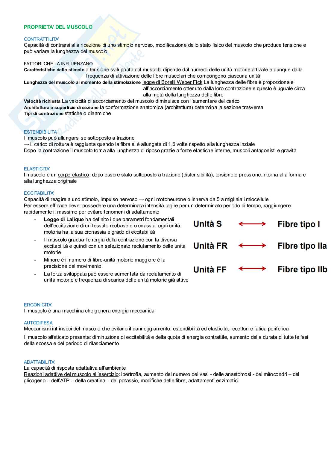 Teoria e metodologia del movimento umano  Pag. 21