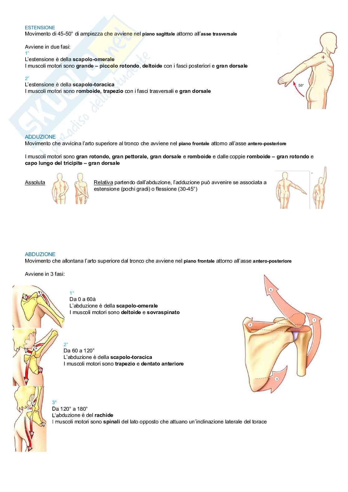 Teoria e metodologia del movimento umano  Pag. 26