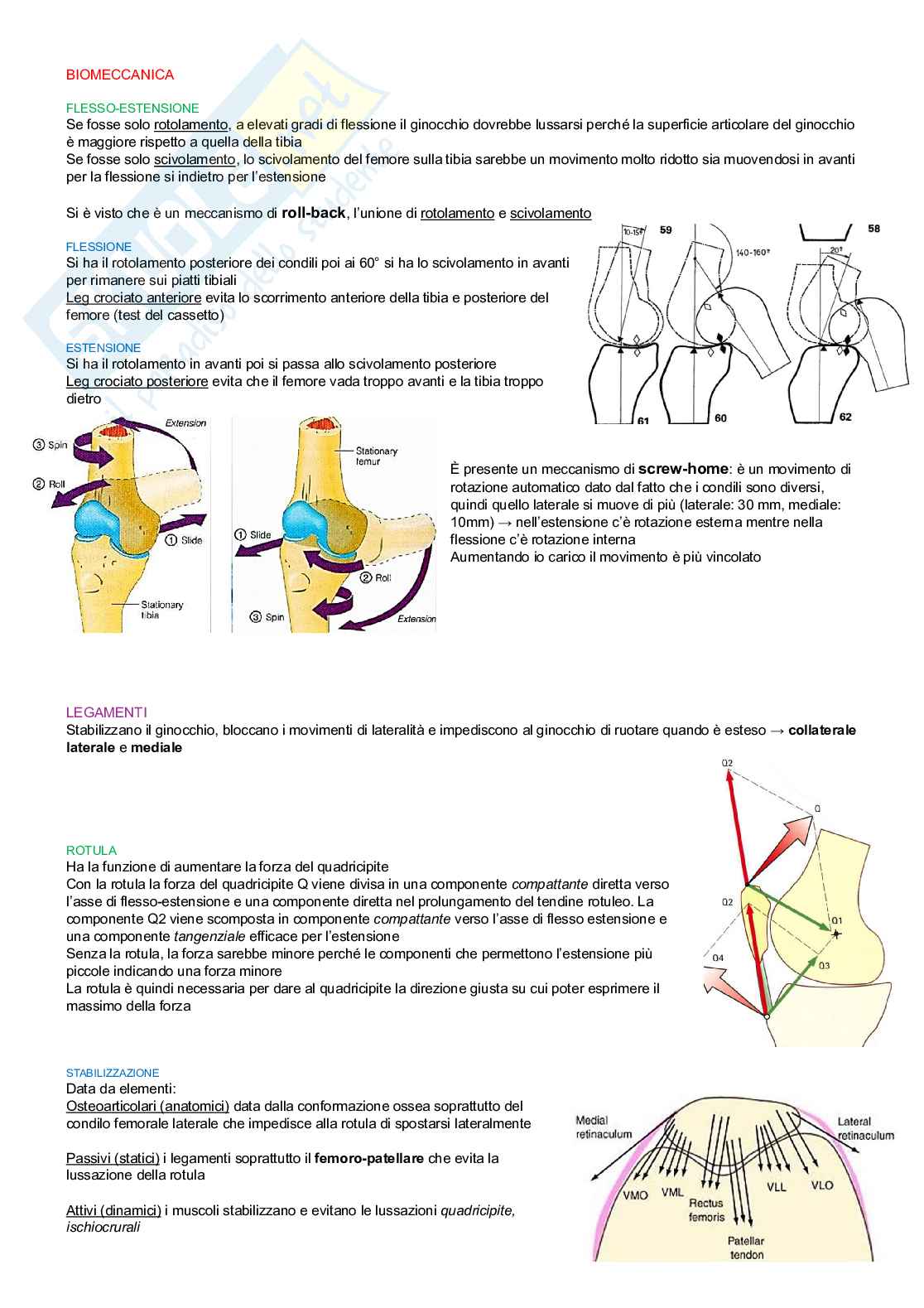 Teoria e metodologia del movimento umano  Pag. 41