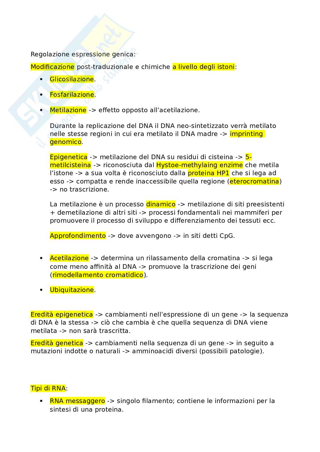 Trascrizione e traduzione Pag. 2
