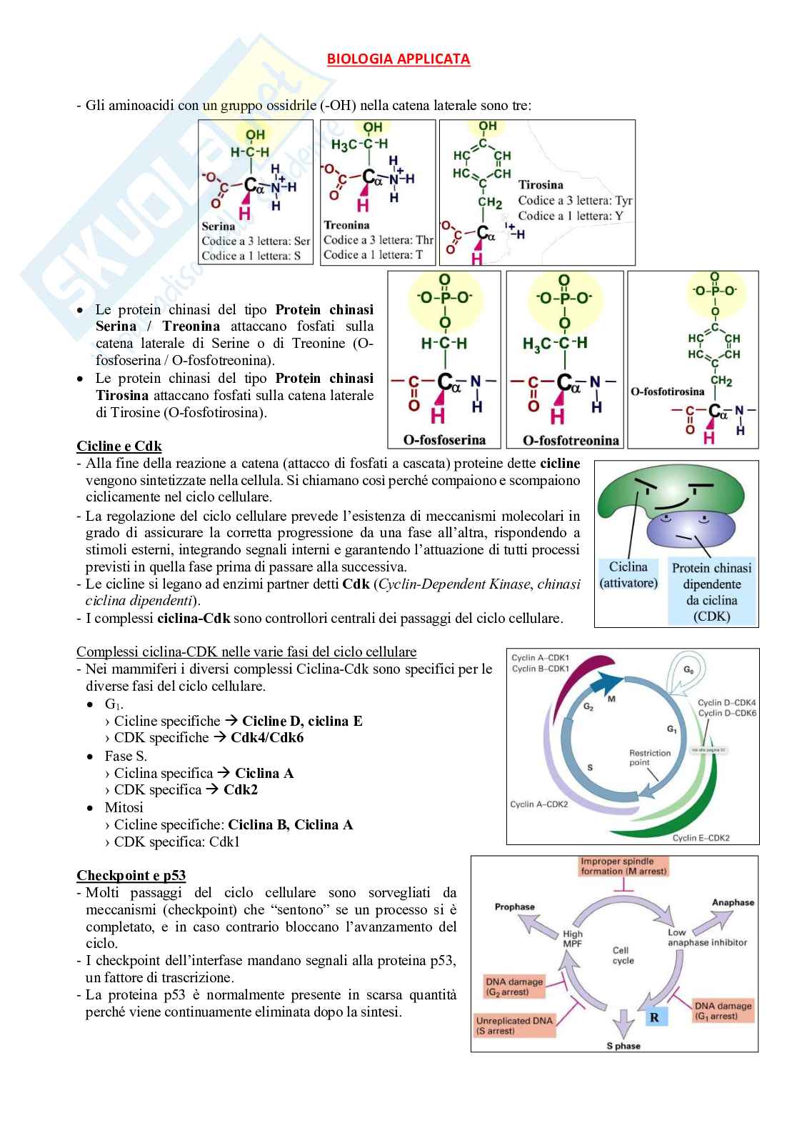 Fisioterapia e professioni sanitarie - Appunti di biologia Pag. 76