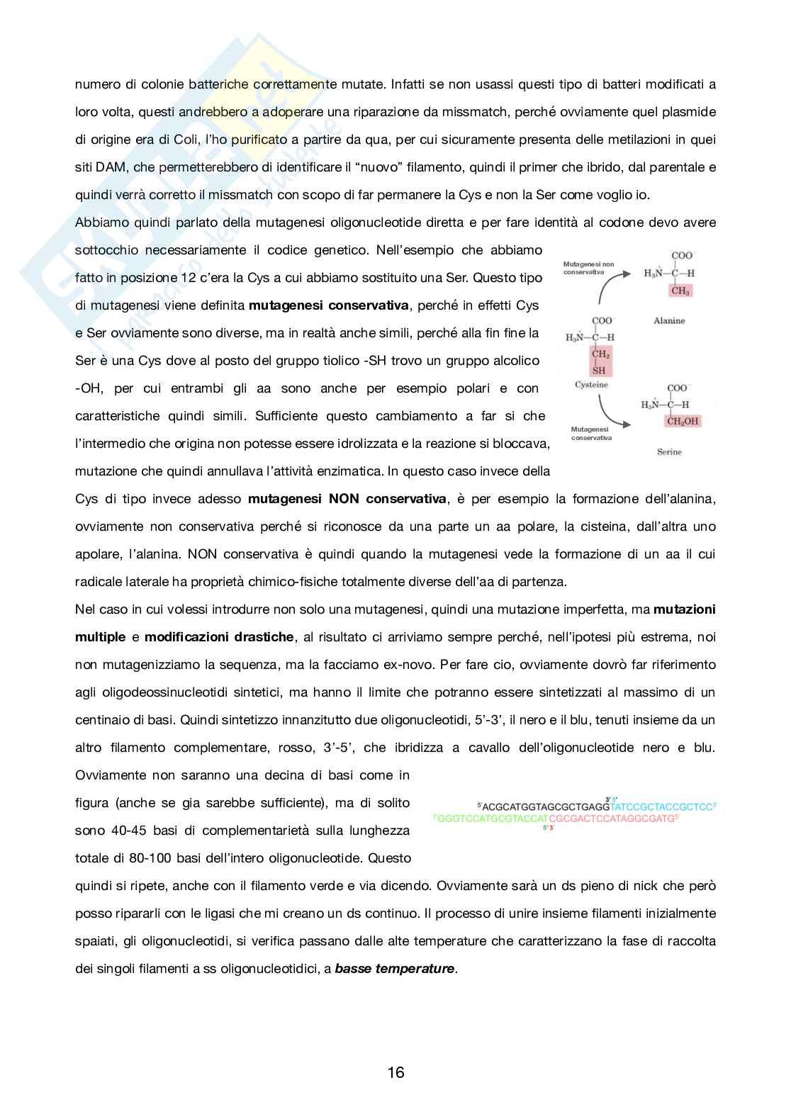 Biologia molecolare applicata Pag. 16