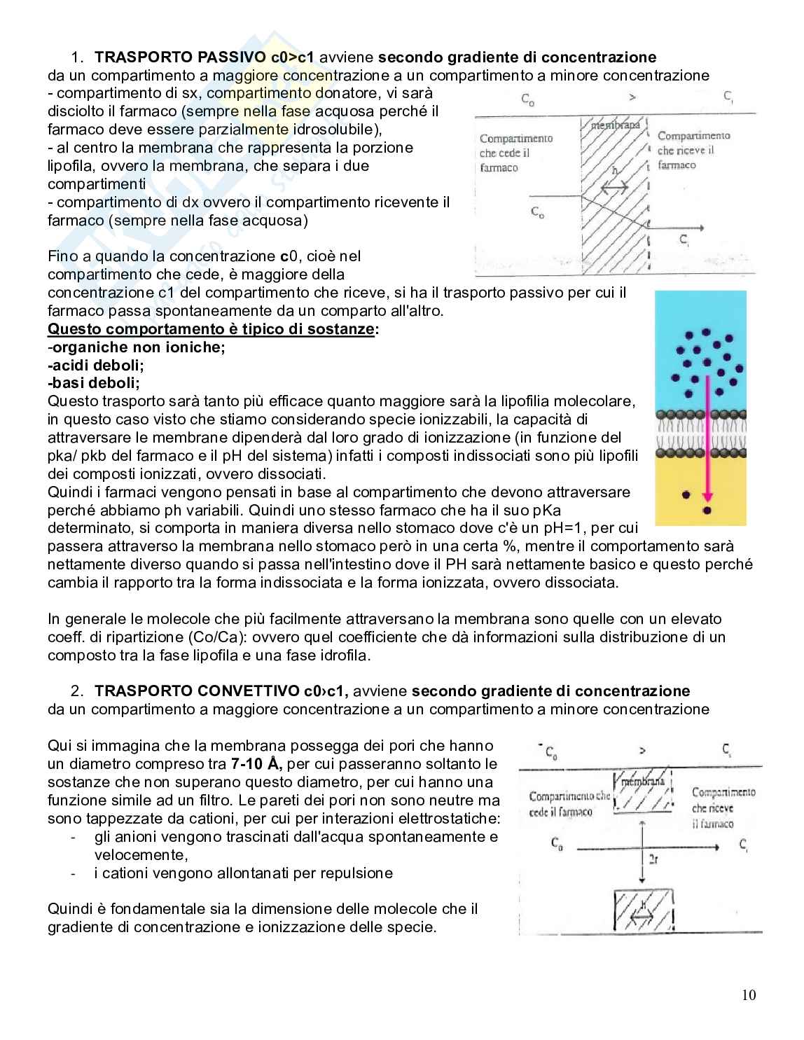 Appunti integrati di Chimica farmaceutica 1 Pag. 26