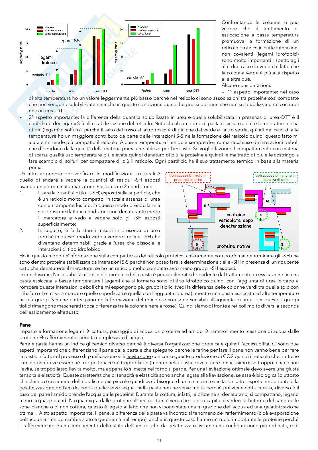Biochimica della nutrizione e degli alimenti Pag. 11
