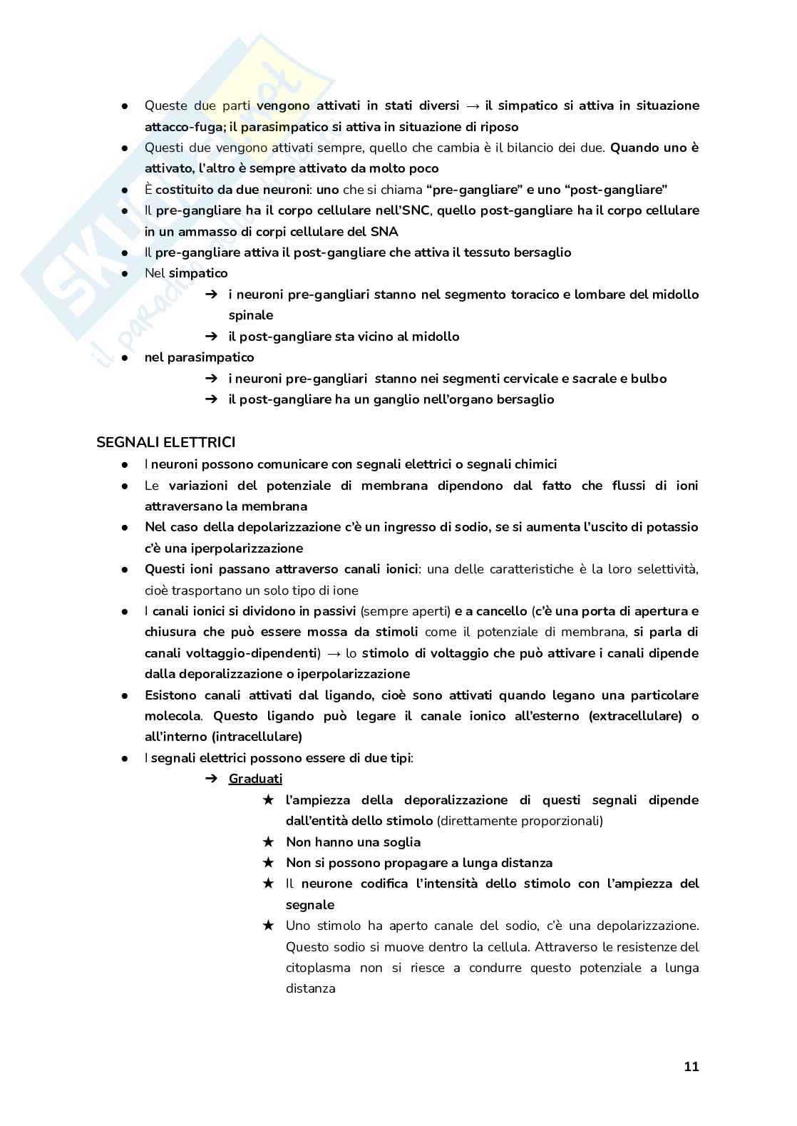 Esame Fisiologia  Pag. 11