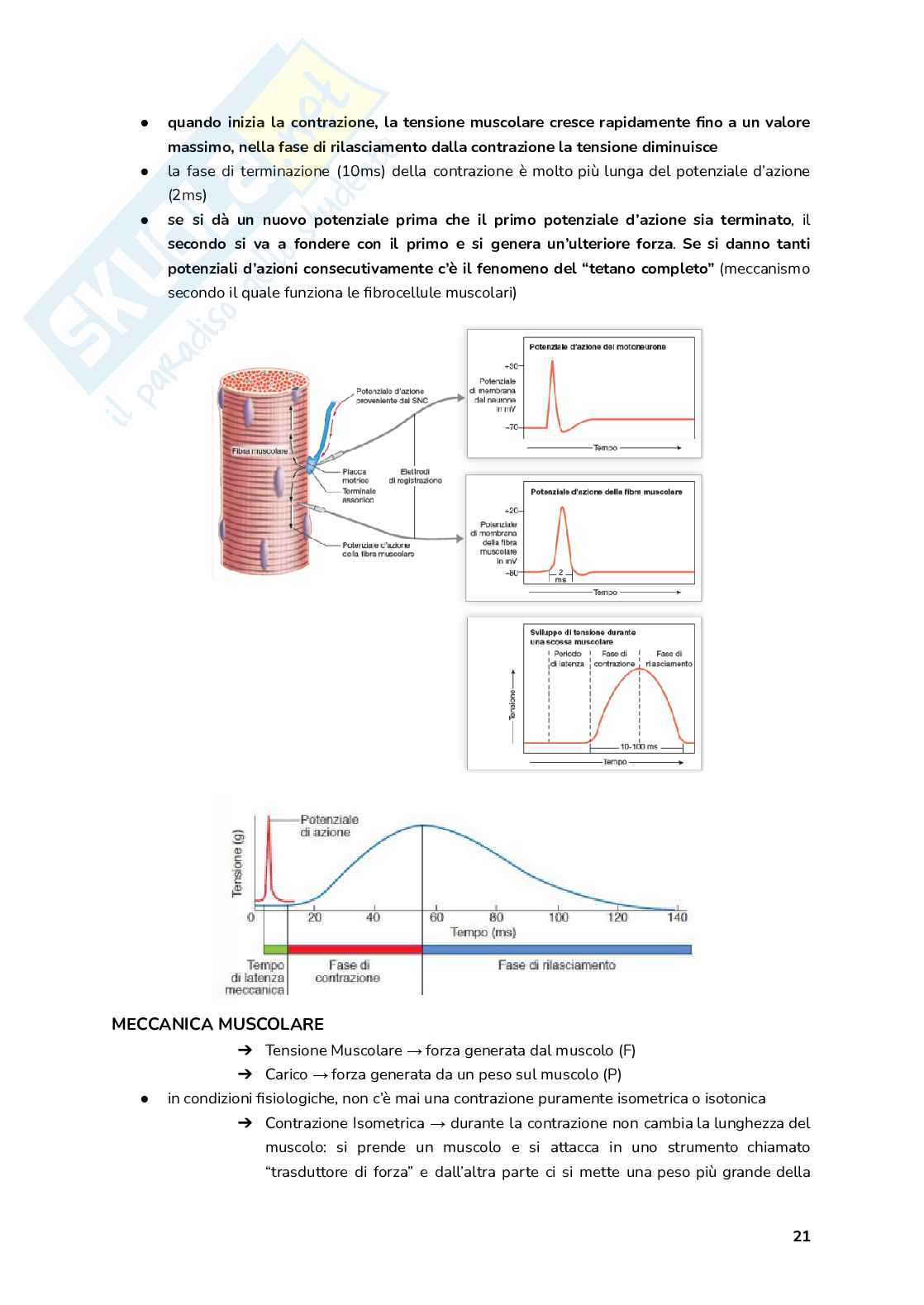 Esame Fisiologia  Pag. 21