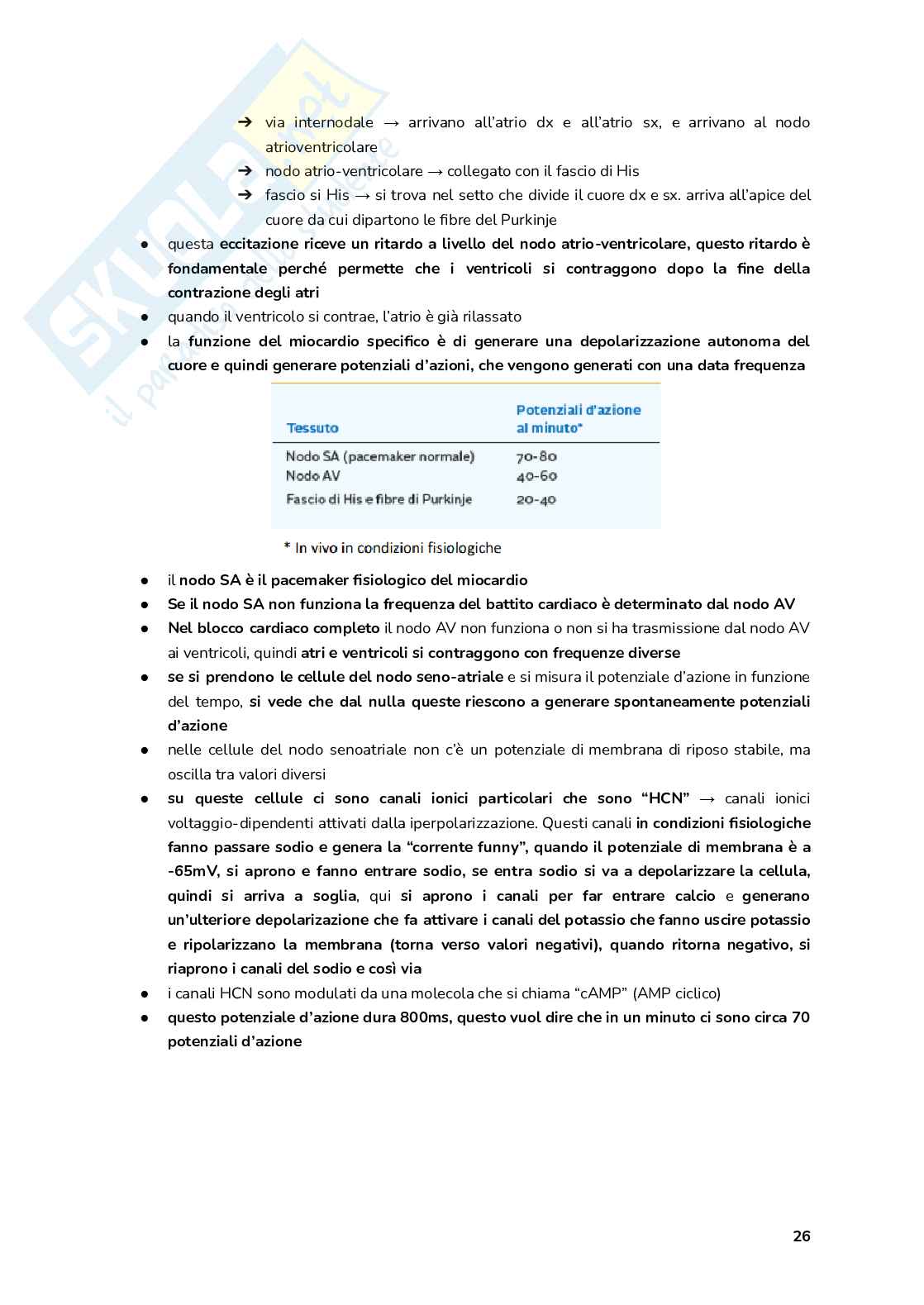 Esame Fisiologia  Pag. 26