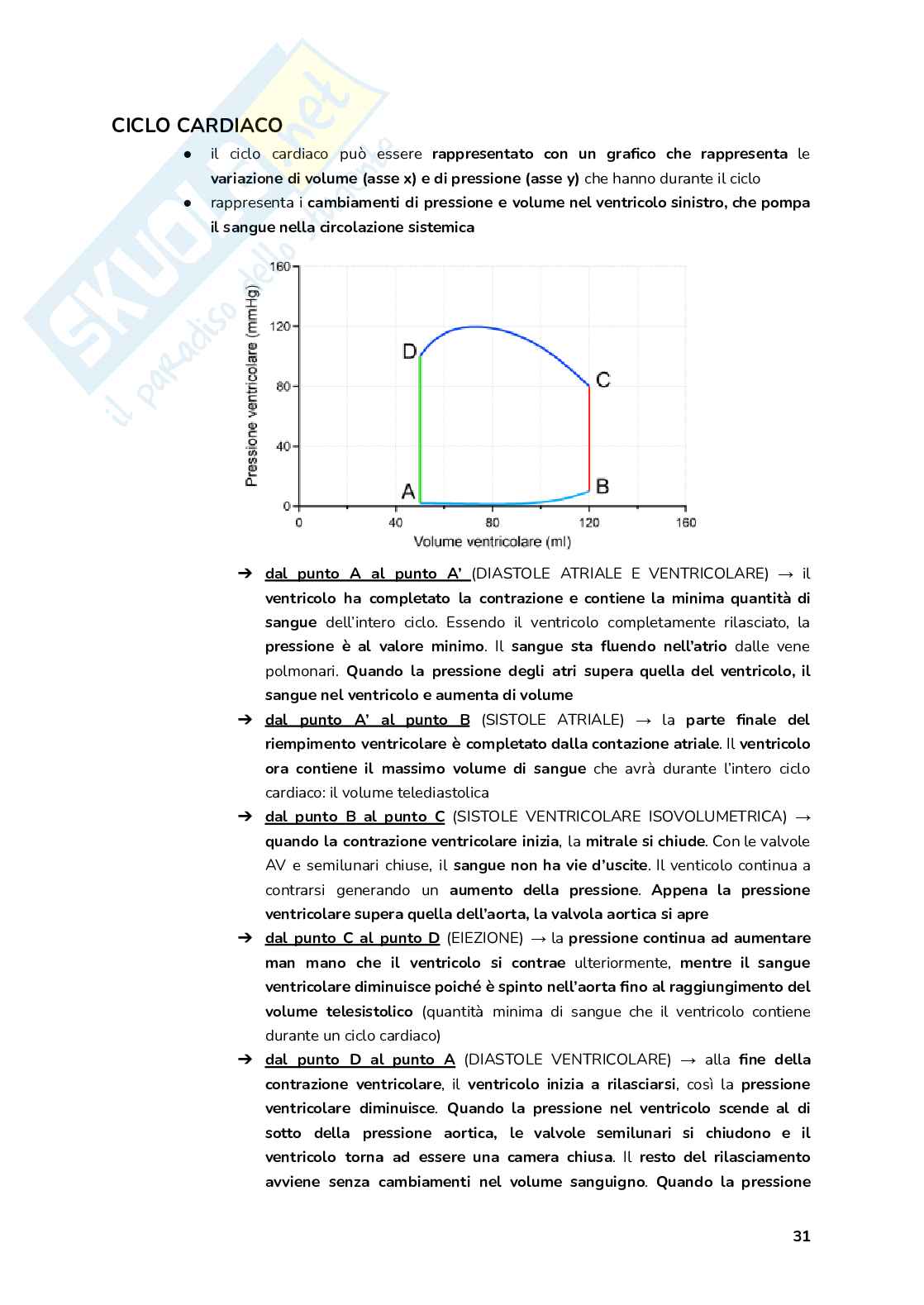 Esame Fisiologia  Pag. 31