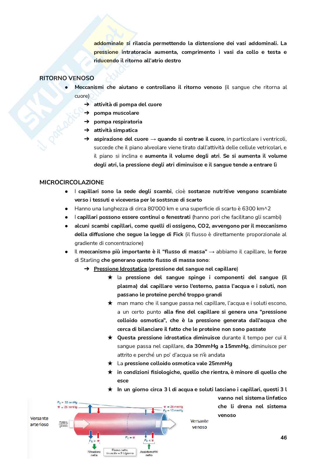 Esame Fisiologia  Pag. 46