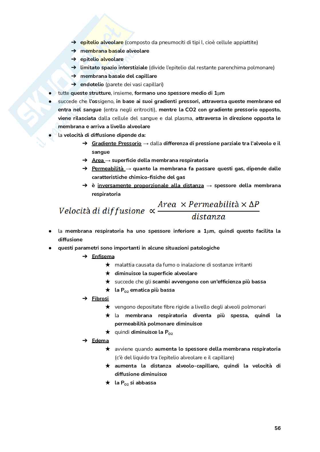 Esame Fisiologia  Pag. 56