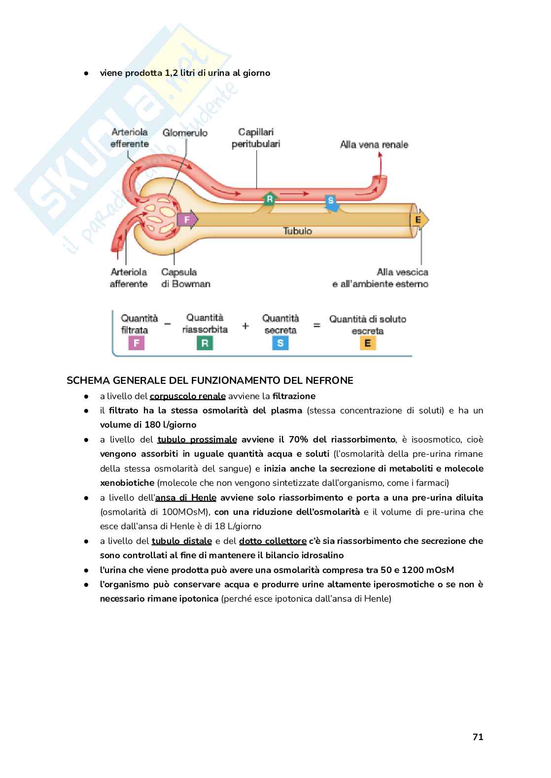 Esame Fisiologia  Pag. 71