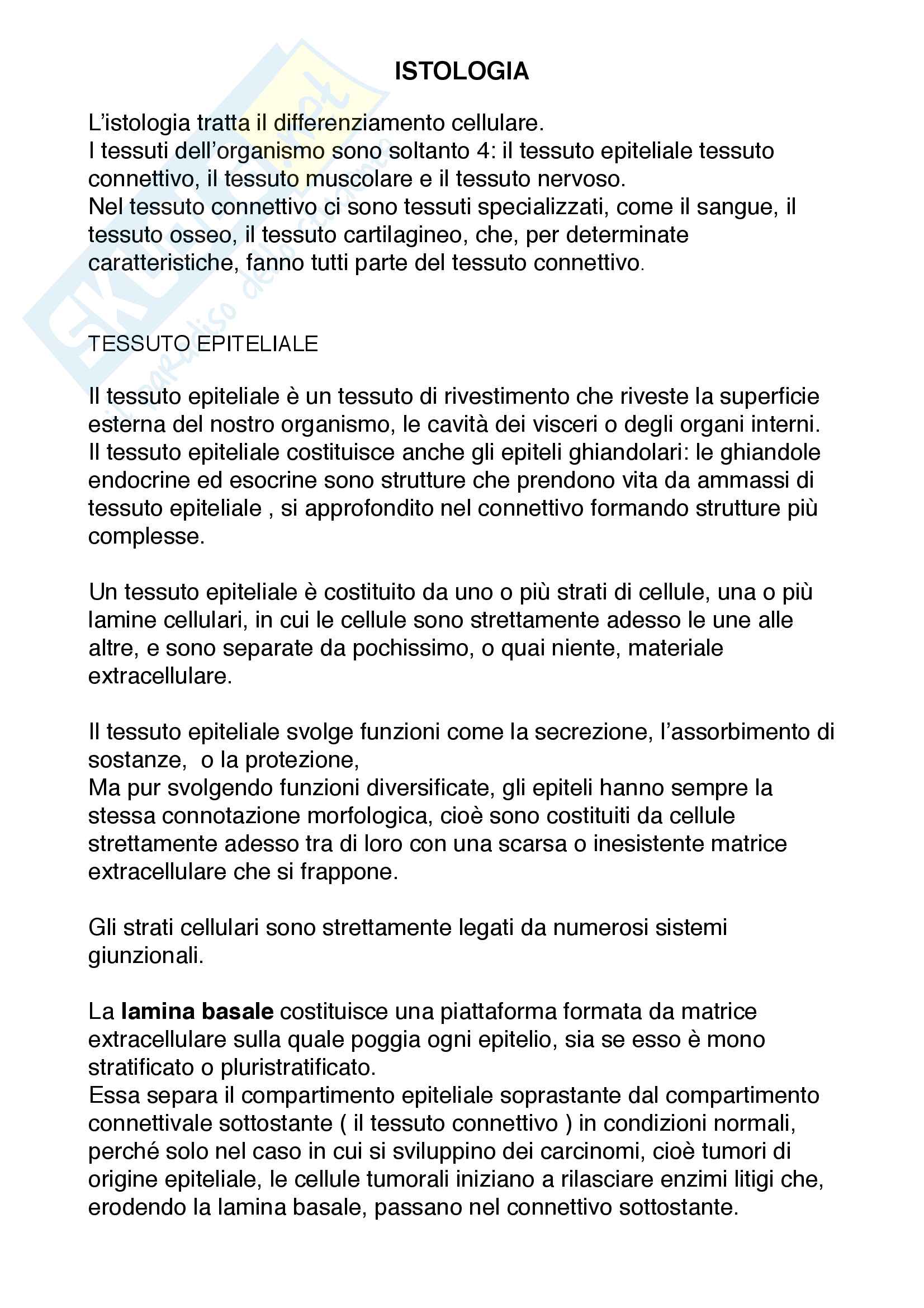 Definizioni E Caratteristiche Del Tessuto Epiteliale
