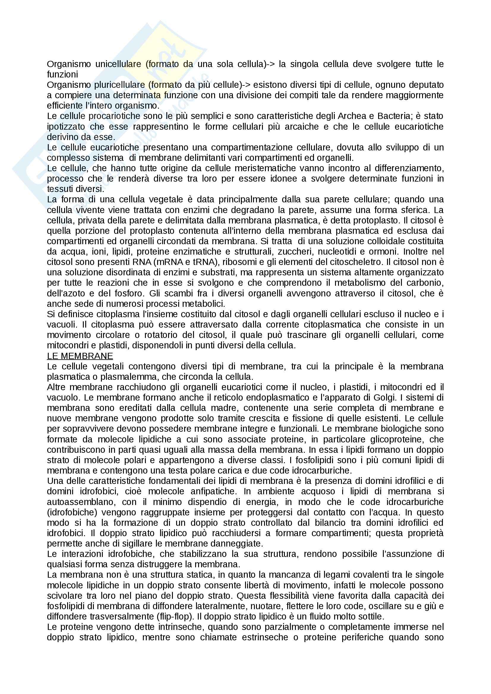 Nozioni, Botanica Pag. 2