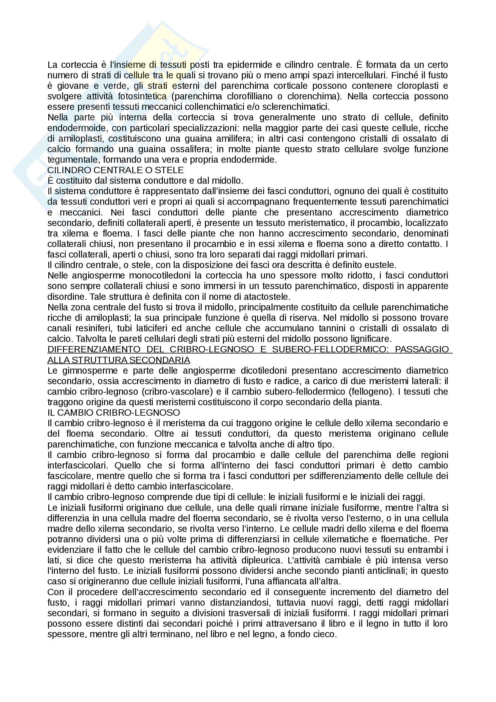 Nozioni, Botanica Pag. 41